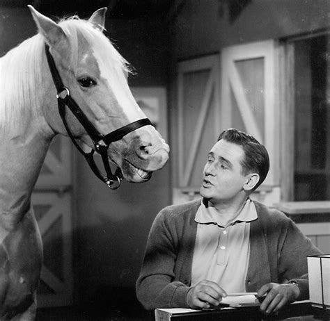 Mister Ed might very well be one of the most famous horses to ever trot across the Earth. The show that bears his namesake concerns his relationship with Wil...